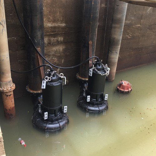 Raw Sewage Pump