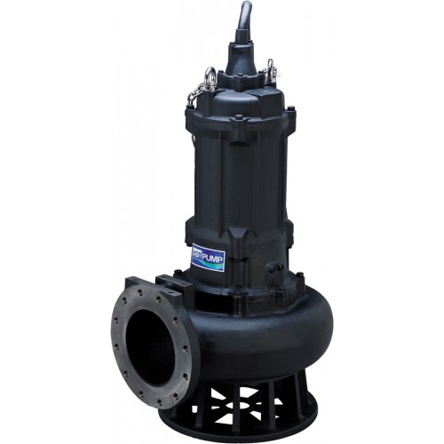 Raw Sewage Pump
