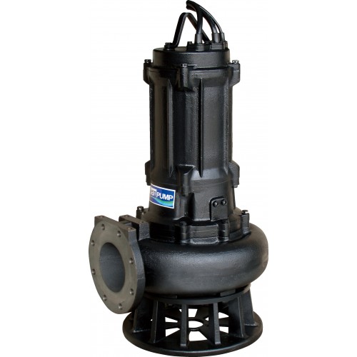 Raw Sewage Pump